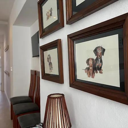 Casa Sultana Apartment